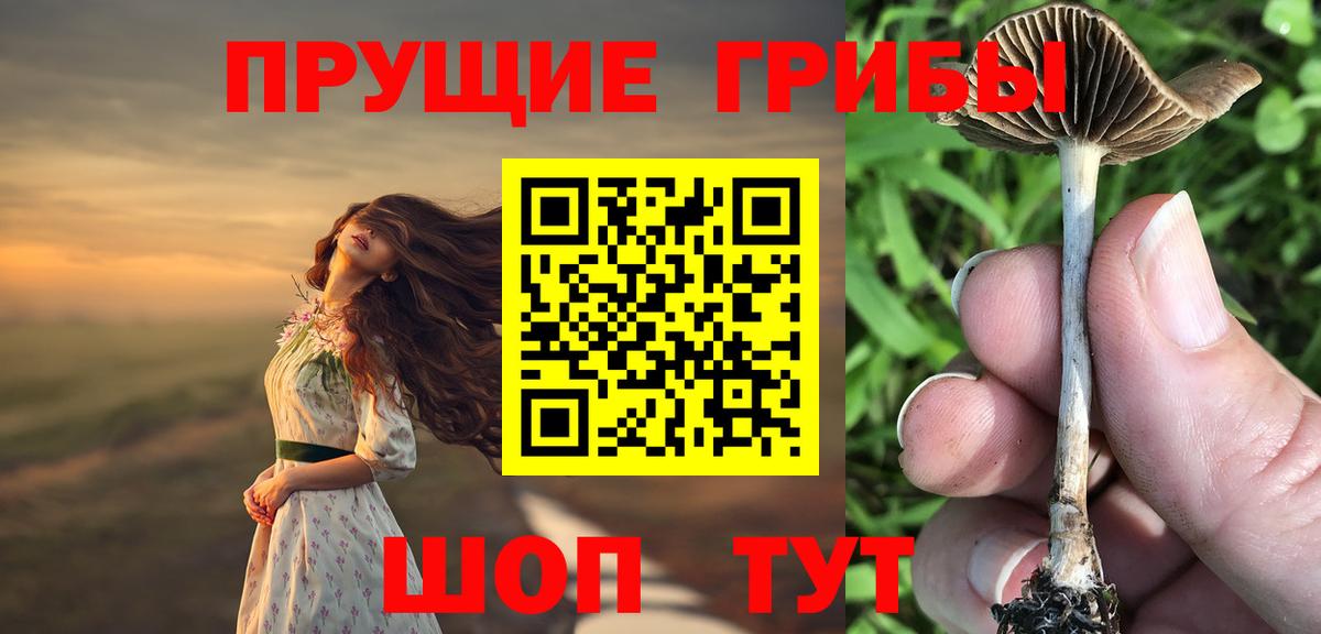 Волгоград  Галлюциногенные грибы MAGIC MUSHROOMS  Галлюциногенные грибы ЛСД  Вход с VPN 