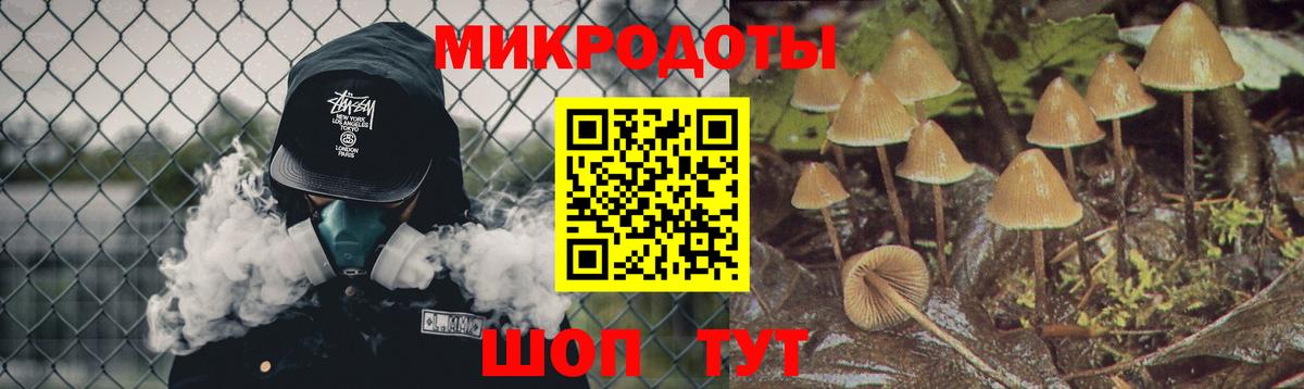 Псилоцибиновые грибы Psilocybe Волгоград