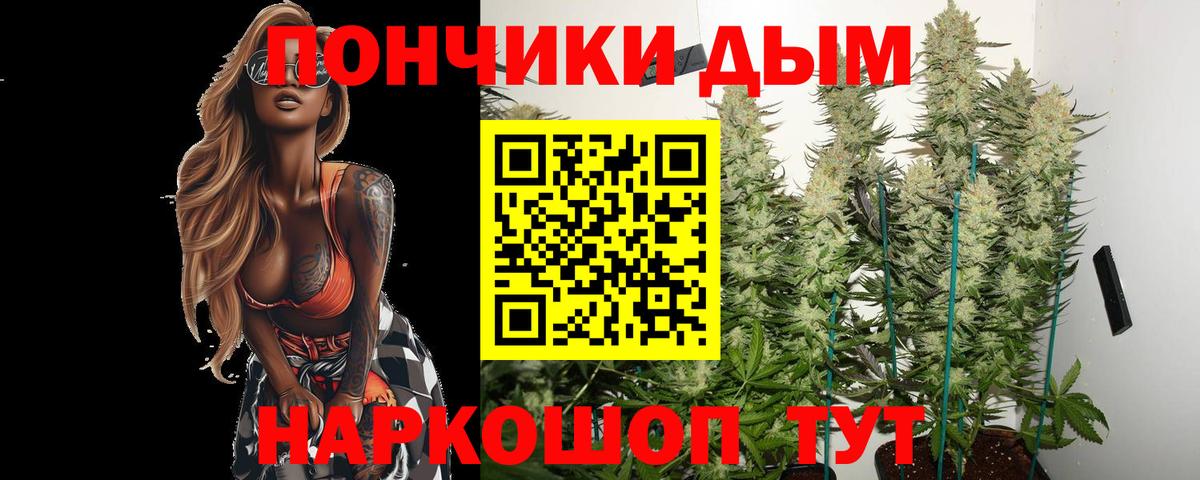 Конопля план  Канабис конопля  Каннабис OG Kush  Вход с VPN  Волгоград 